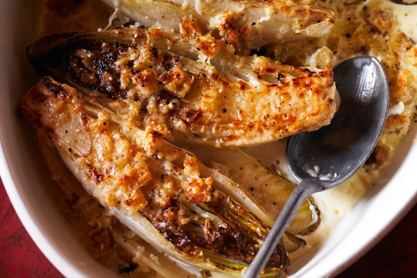 Chicory Gratin Recipe Chicory Gratin Recipe