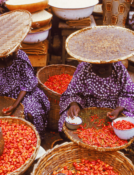 A street food market with peppers and tomatoes in Ibadan, Nigeria